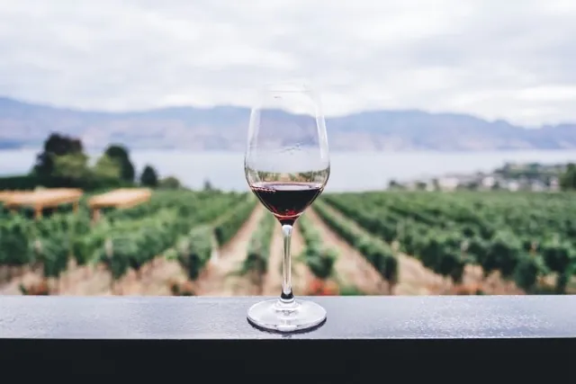 Wine on Hobart guided meet the Hobart tour